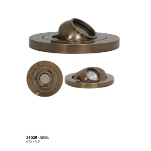 ariel-31029