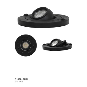 ariel-31050