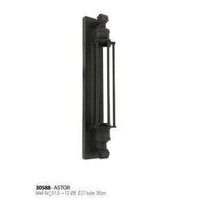 astor-30588_1093952693