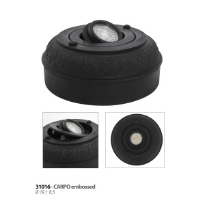 carpoembossed-31016