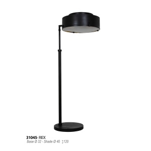 rex-31045