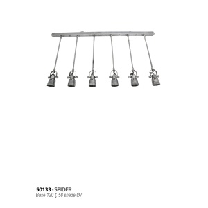 spider-50133