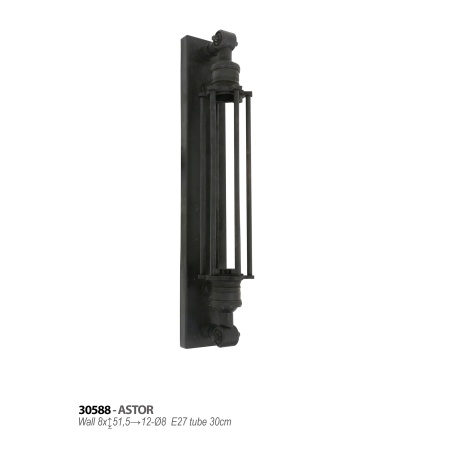 astor-30588_1093952693