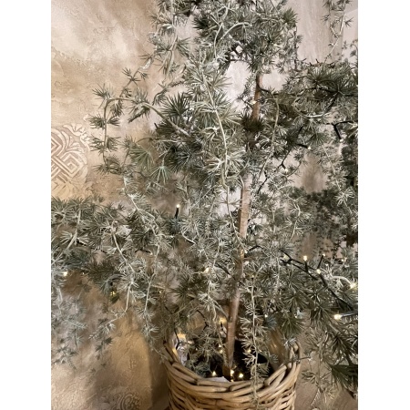 img_4653
