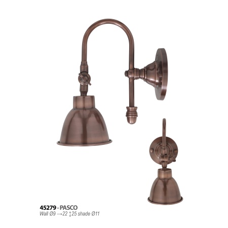 pasco-45279
