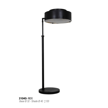 rex-31045
